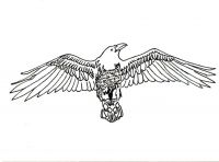 Raven Wings